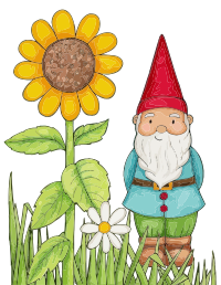Isolated Gnome