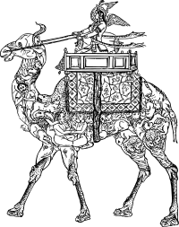 Strange Camel