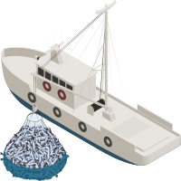 Fishing Boat