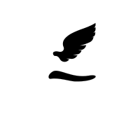 Wing and Tail Silhouette