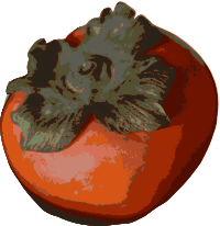 Persimmon