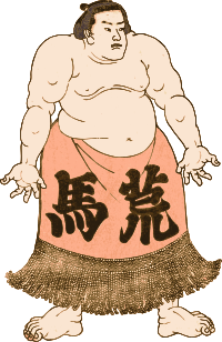 Sumo Guy
