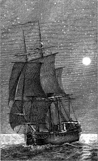 Night Stream
