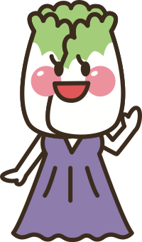 Chinese Napa Cabbage Head