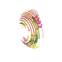 Coloured lines and arrows