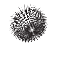 Black burst shape