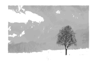 Winter 1
