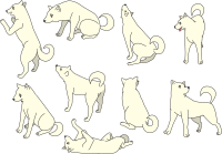 Shiba Inu Dog Collection (different poses)