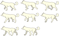 Shiba Inu Dog Walking Collection (different poses)