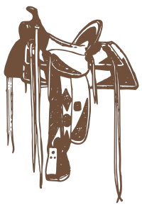 Saddle