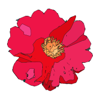Red Flower