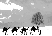 Lost