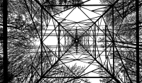 Cellulose And Steel