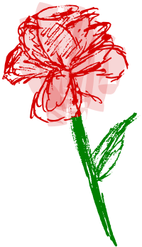 Rose Sketch - Colour