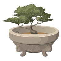 Bonsai in a Pot