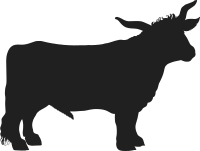 Vintage Ox Silhouette