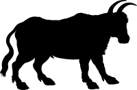 Vintage Ox Line Art Silhouette