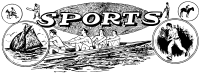Various Sports Banner