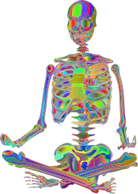 Skeleton Meditation Polyprismatic