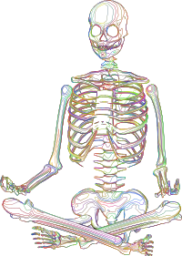 Skeleton Meditation Line Art Polyprismatic