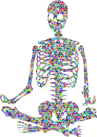 Skeleton Meditation Silhouette Low Poly