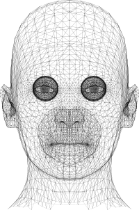 Wireframe Man Head