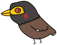 Common Myna