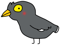 Javan Myna