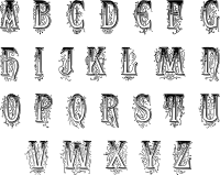 Shaded Letters