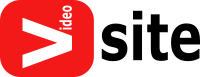 Fake Video Site Logo