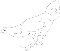 Hen Outline