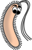 Funny Bacillus