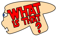 What is that?