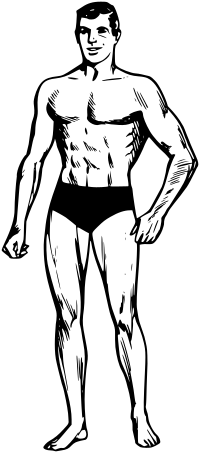 Man in swimming trunks
