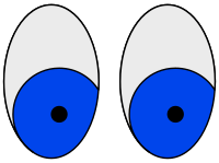 Eyes