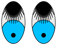 Bashful Eyes—Black Lashes