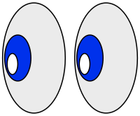 Emoji Eyes