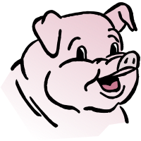 Cartoon Pig Head