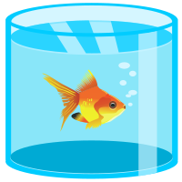 Aquarium with golden fish