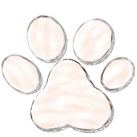 Dog paw