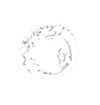 metallic dragon