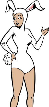 Bunny suit