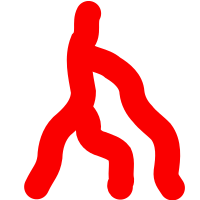 artery