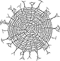 Corona Syringes Vaccine