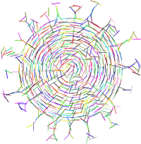Corona Syringes Vaccine Colorful
