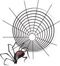 Spider and web