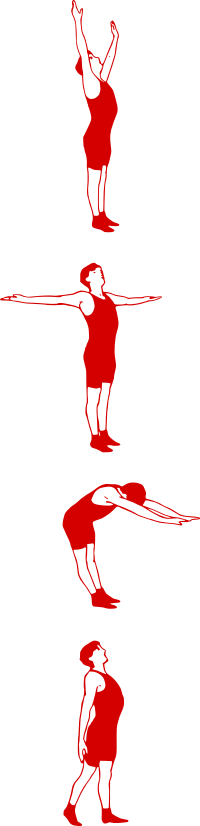 Exercise Collection