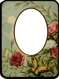 Flower Butterfly Frame