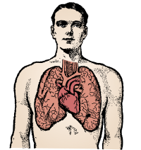 Man and Lungs - Colour Remix