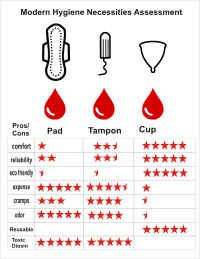 Modern Hygiene Necessities Assessment